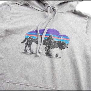 PATAGONIA Logo Organic Buffalo Hoodie Sweatshirt